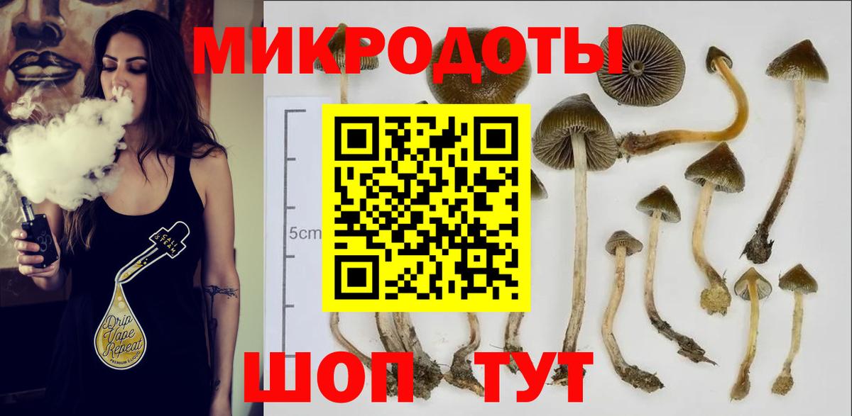 Галлюциногенные грибы ЛСД  Вход с VPN  Воркута 